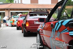 IMG_1649-Copia-Copia-Copia-Copia