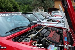 IMG_1719-Copia-Copia-Copia-Copia