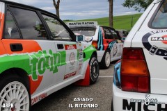 IMG_2025-Copia-Copia-Copia-Copia