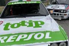 IMG_3981-Copia-Copia-Copia-Copia