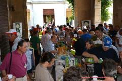 festatrebbiatura-105