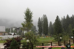 IMG_5073