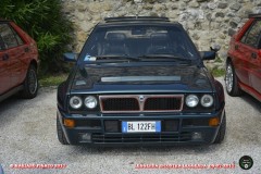 DSC3536